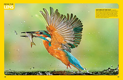 National Geographic Kids Animal Encyclopedia (2nd Edition