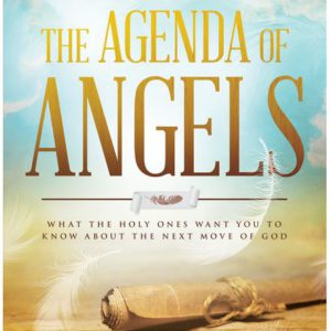 The Agenda of Angels: What the Holy Ones Want You to Know About the Next Move