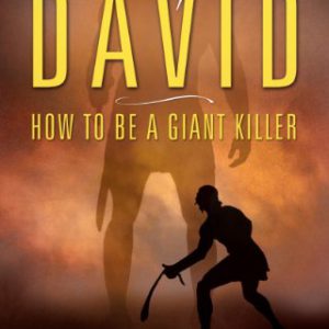 Lessons from David: How to Be a Giant Killer
