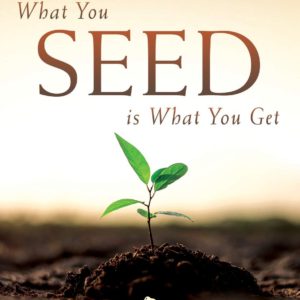 What You Seed Is What You Get: Seeding Your Way to Success